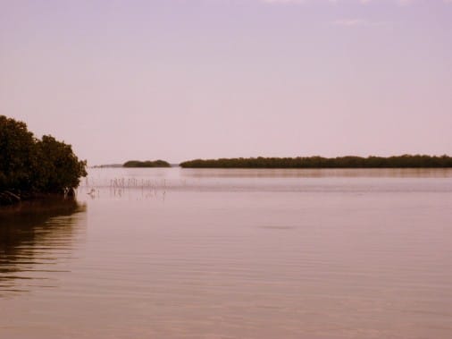 Florida Bay Redfish Flat