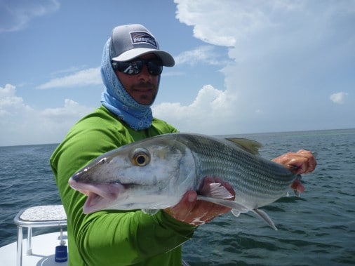 , Biscayne Bay Fishing Report|Bonefishing