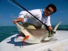 shark fishing charters miami florida