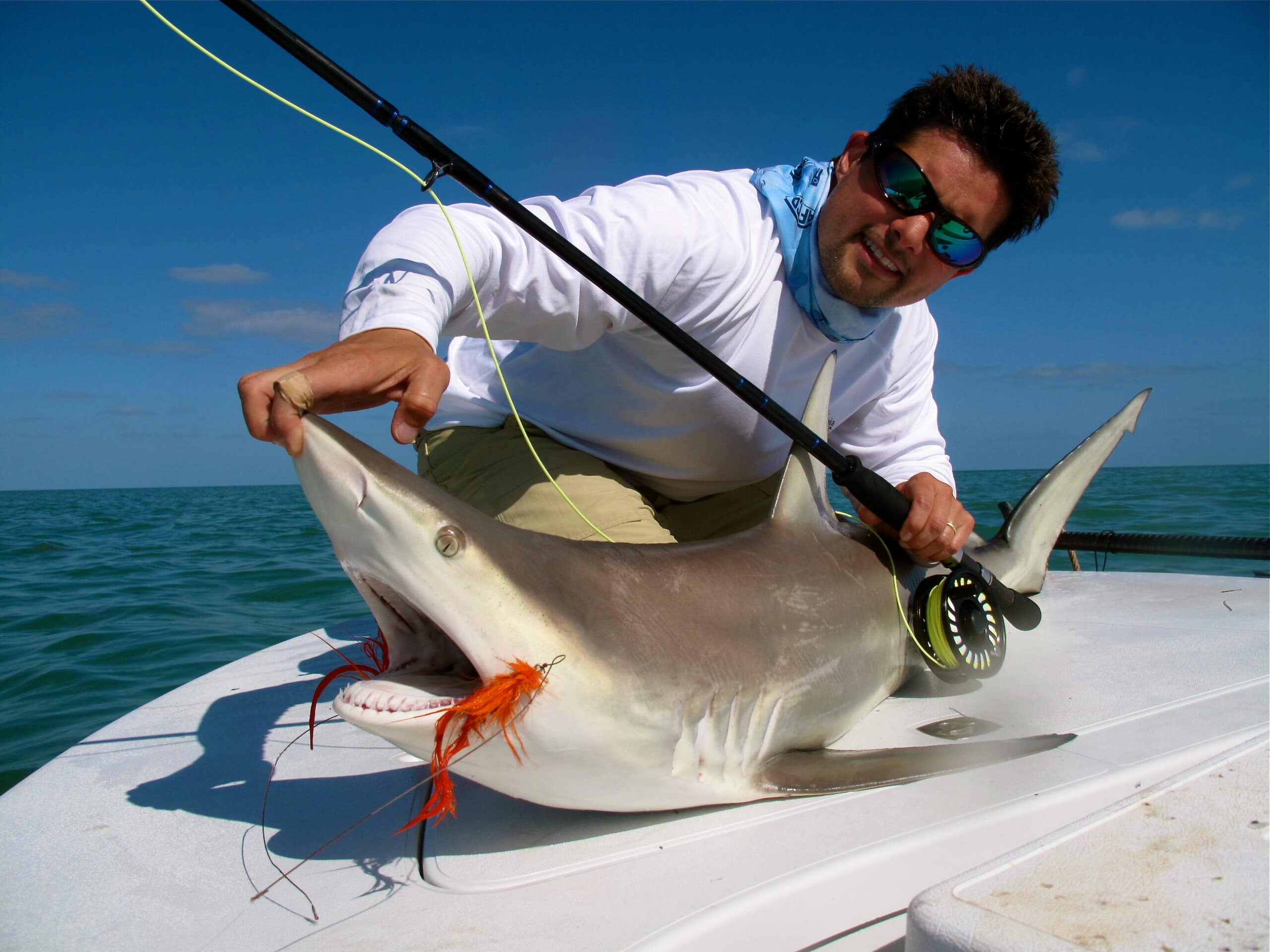 Shark Fishing - Miami Flats Fishing Guide Miami, FL - Shallow Tails