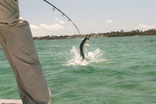 Florida Keys & Biscayne Bay Fishing: Tarpon Worm Hatch & Phenomenal Bonefishing