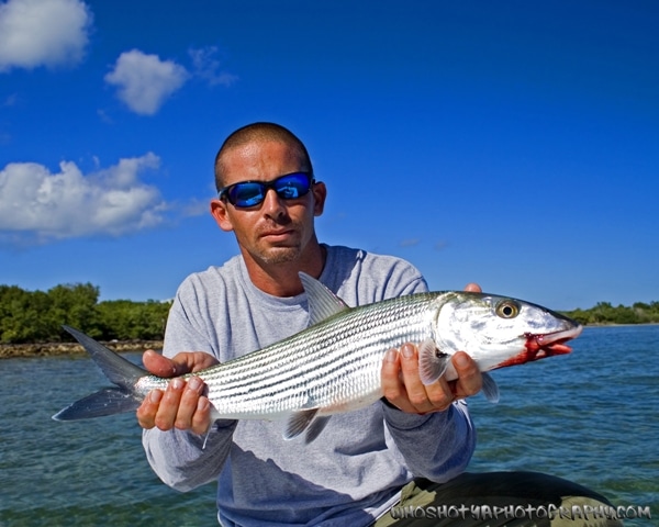 , Florida Fishing: Miami Tarpon At Night &#038; Biscayne Bay Bonefish By Day