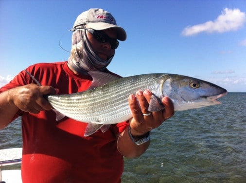 , Biscayne Bay And Flamingo Everglades Fishing Report: Snook, Redfish, Bonefish