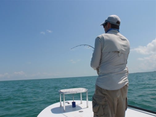 , Islamorada and Biscayne Bay Fishing Report|Tarpon,Redfish,and Snook