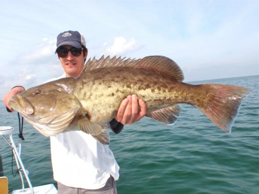 , Biscayne Bay Fishing Guide Fishing Report | Light Tackle Grouper Fishing.