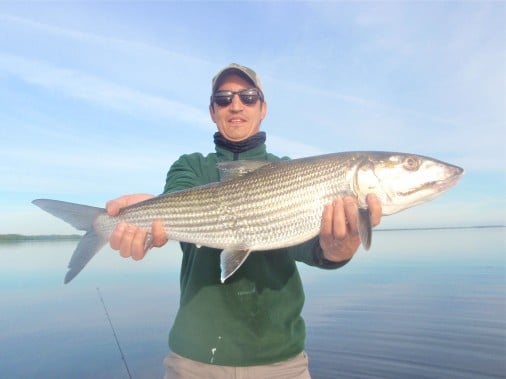 , Biscayne Bay Miami Fishing Guide Report | Big Miami Bonefish Capt Raul Montoro