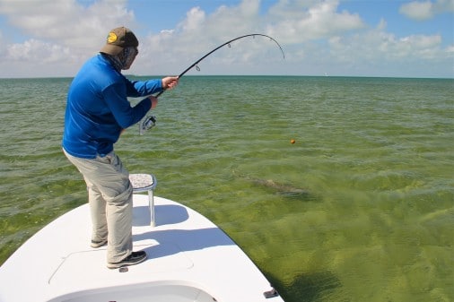 Miami Flats Fishing For Sharks
