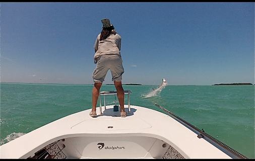 Miami Tarpon Fishing 