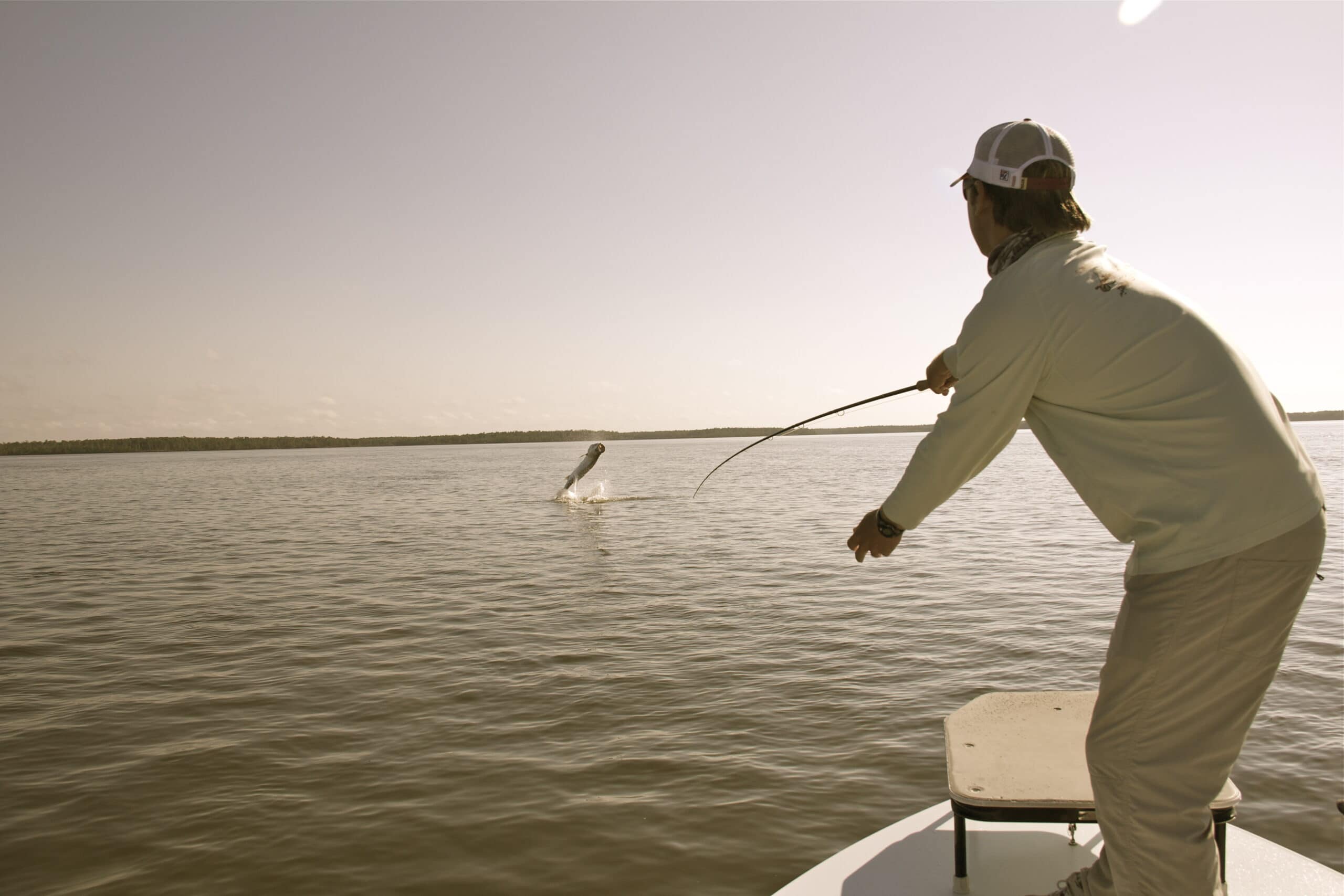 Tarpon Fishing In The Winter|Miami and Everglades National Park