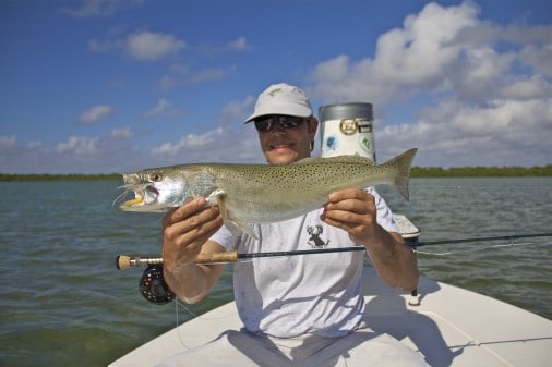 Florida Bay Trout