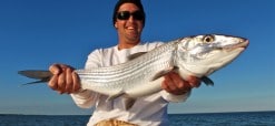 Big Miami Bonefish