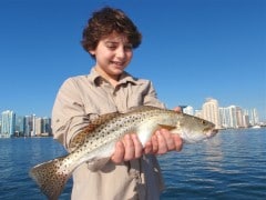 Seatrout caught on Biscayne Bay
