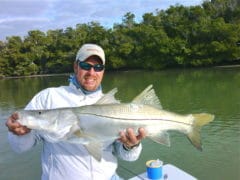 Everglades Snook Fishing Charter