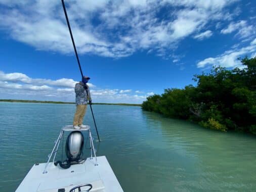 Fishing Guide in Miami, The Benefits of Hiring a Professional Fishing Guide in Miami