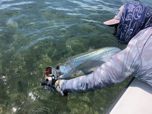 , A Guide to Catch-and-Release Fishing in Miami