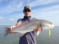 Everglades Redfish On Top Water