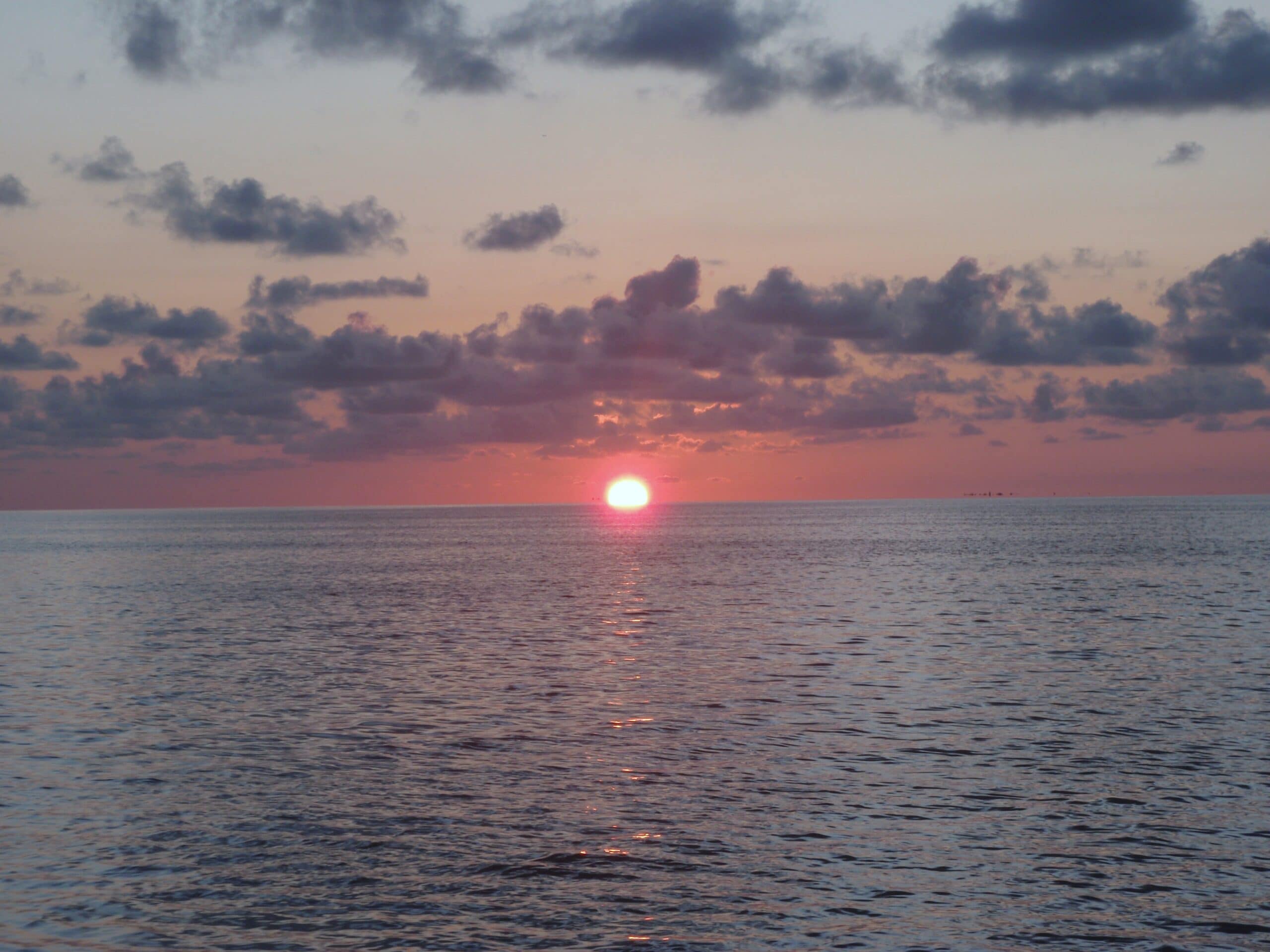Miami Inshore Fishing Report: Mutton Snapper Fishing In Biscayne Bay.