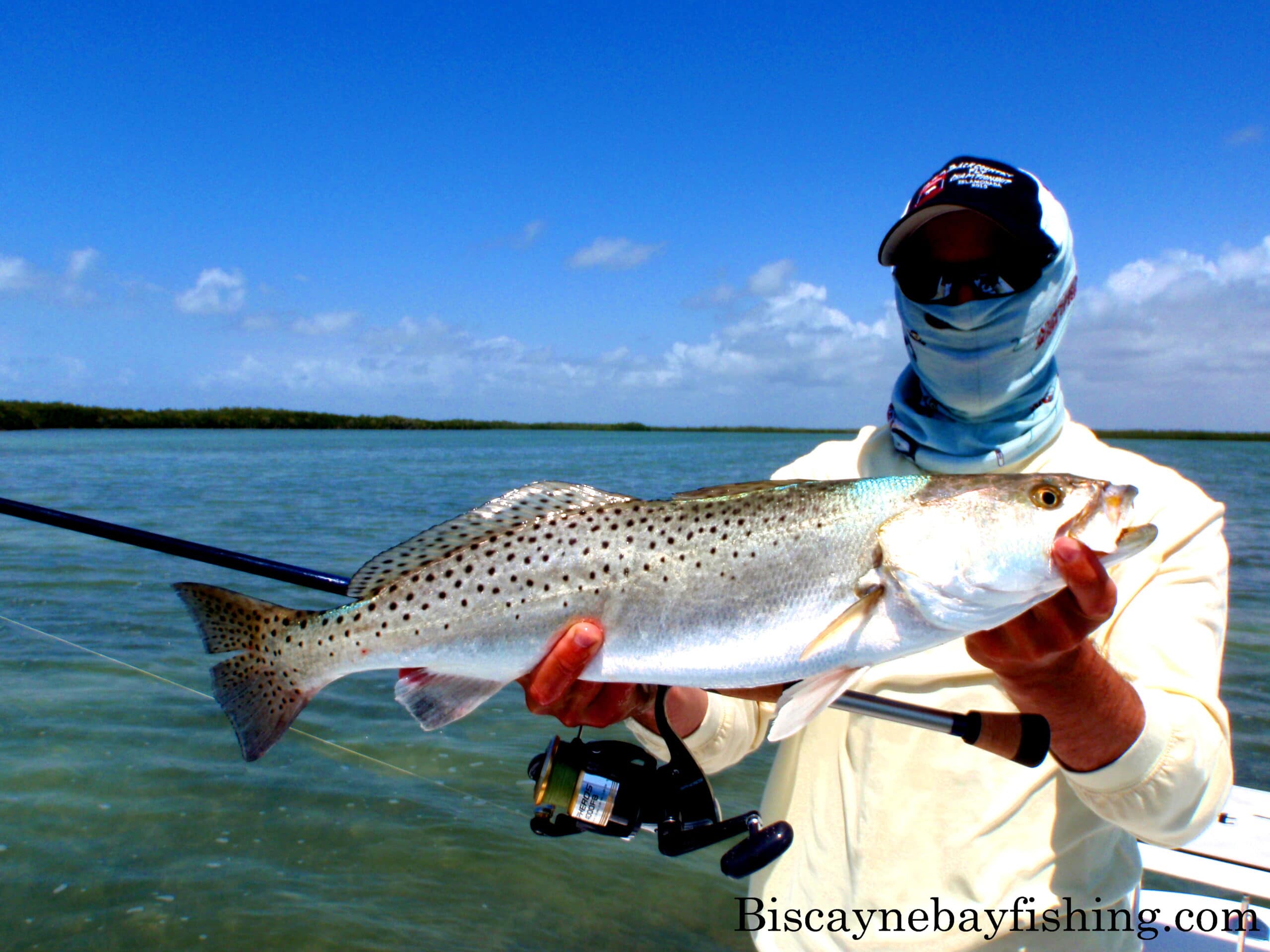FLAMINGO FISHING GUIDE:FLAMINGO FISHING REPORT
