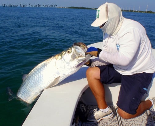 Capt Raul Montoro Landing A Islamorada Tarpon