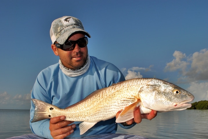 Flamingo Fishing Report:Tarpon and redfish