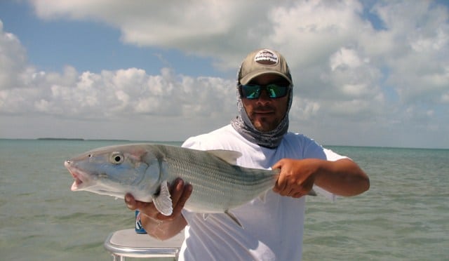 Florida Everglades (Flamingo) Fishing: Big Snook & Black Drum Everywhere