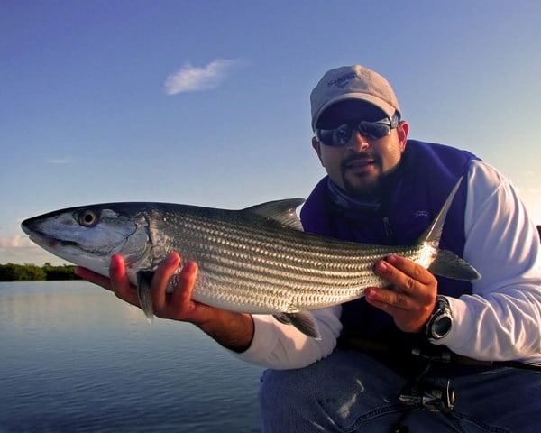Florida Bonefishing: Big Winter Bonefish In Biscayne Bay
