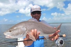 Fly Fishing For Redfish Islamorada, FLorida