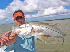 Florida Everglades Snook Flamingo Marina