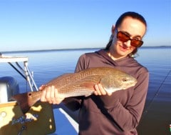 Flamingo FloridaEverglades Redfish