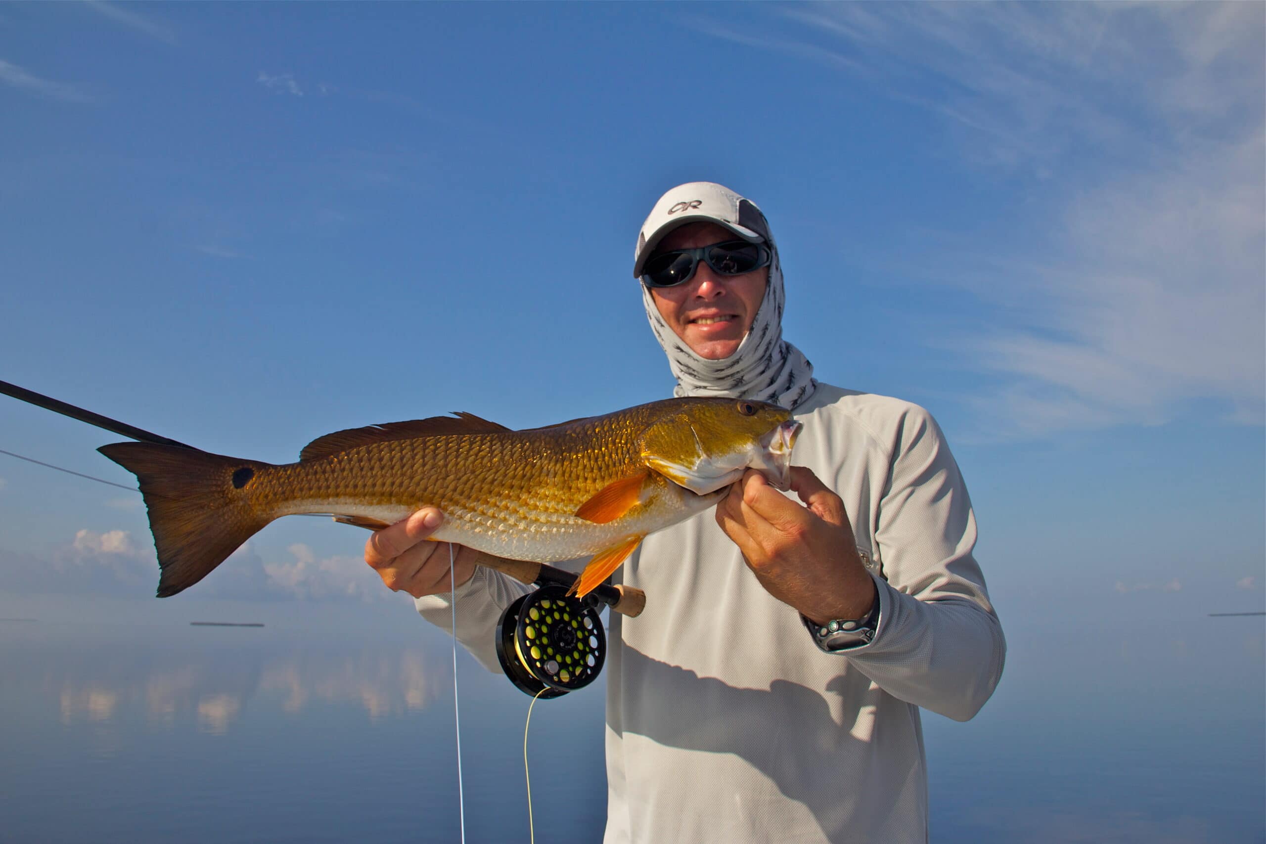 Redfish on the fly in everglades national park Redfish on the fly in everglades national park