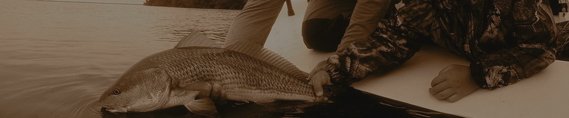 contact-banner-new1 , Miami Redfish Fishing Charter