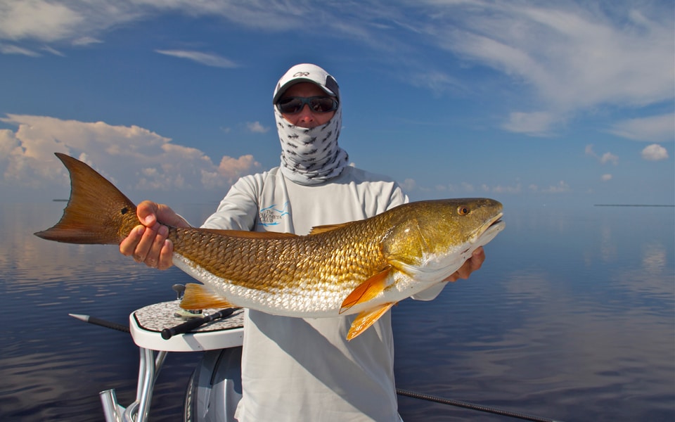 Miami Flats Fishing Guide Miami, FL - Shallow Tails | Fishing , Fishing