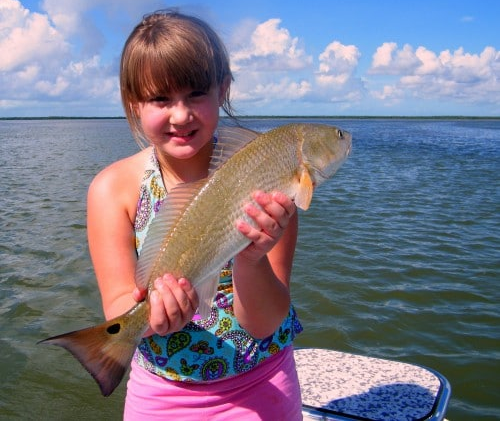 red-fish , Miami Redfish Fishing Charter