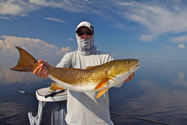 Redfish Fishing in Florida: Best Locations, Seasons & Techniques