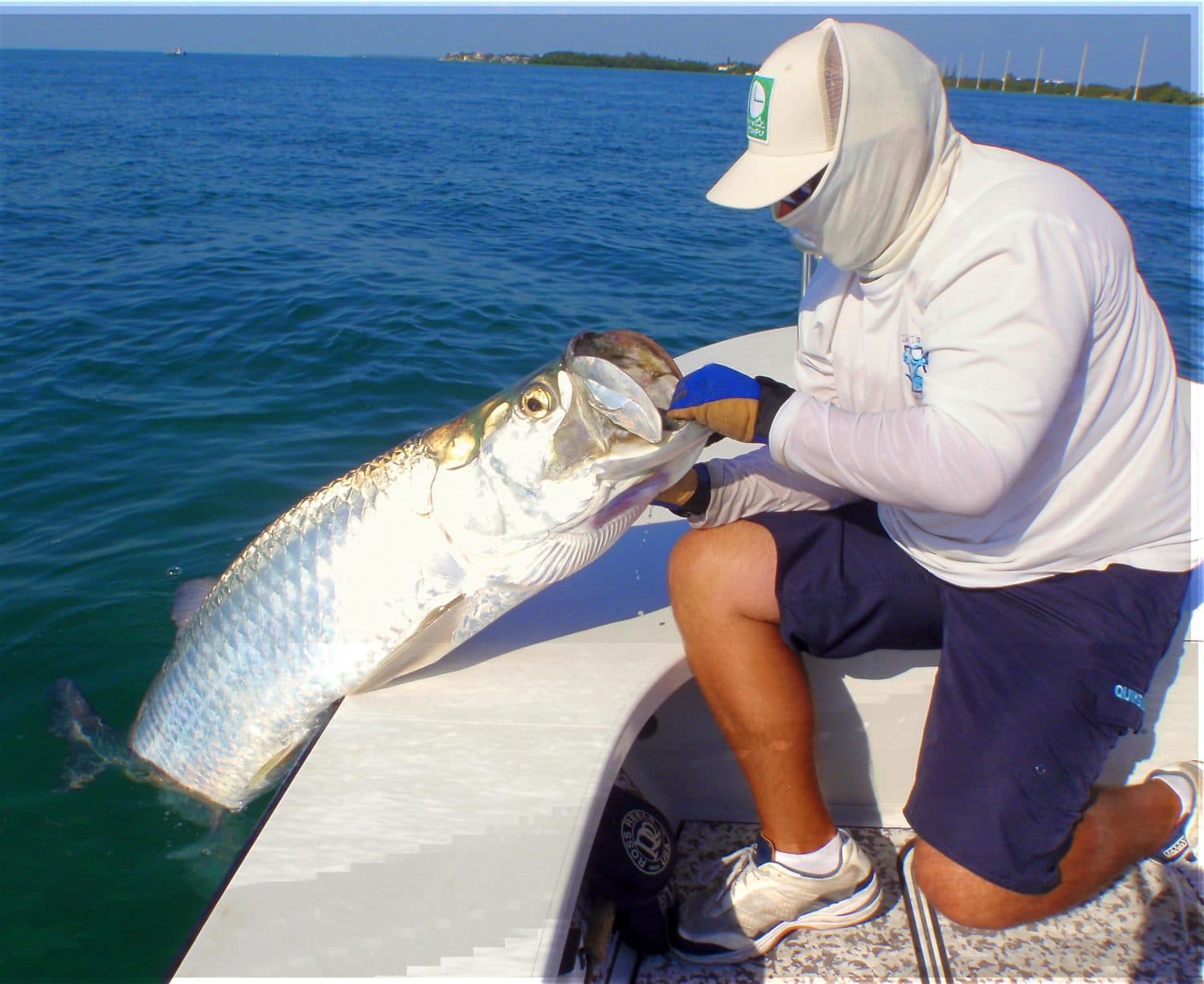 Miami Tarpon Fishing: Chasing the Silver King