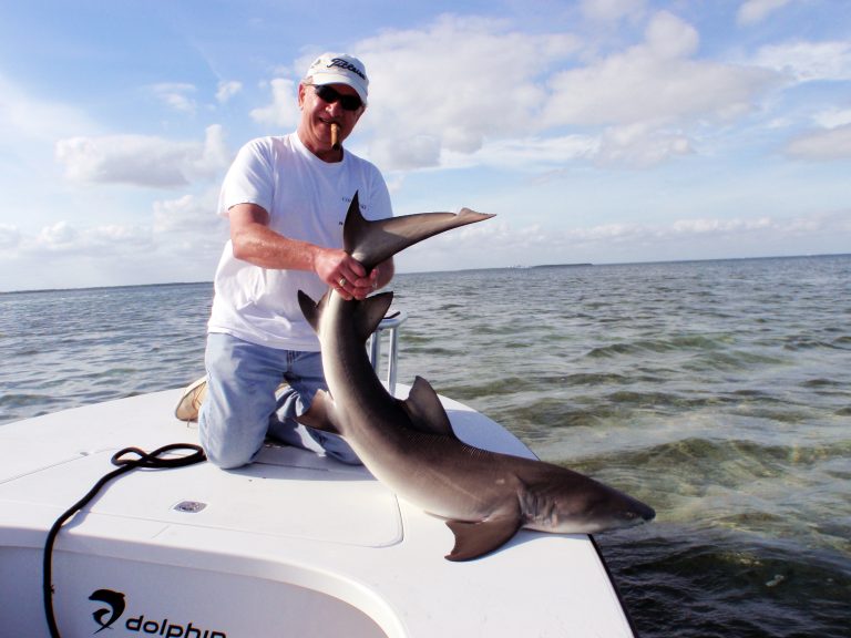 Best Time to Catch a Grand Slam in Miami