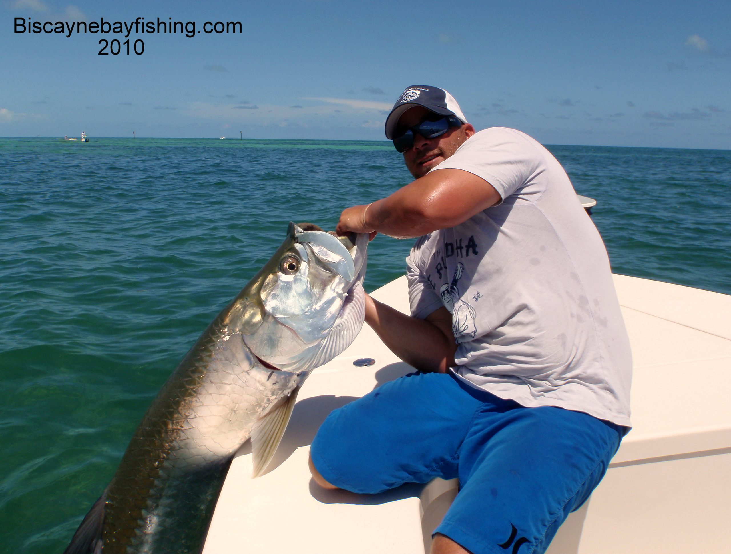 Where to Catch Tarpon in Biscayne Bay: Prime Spots for Miami Anglers
